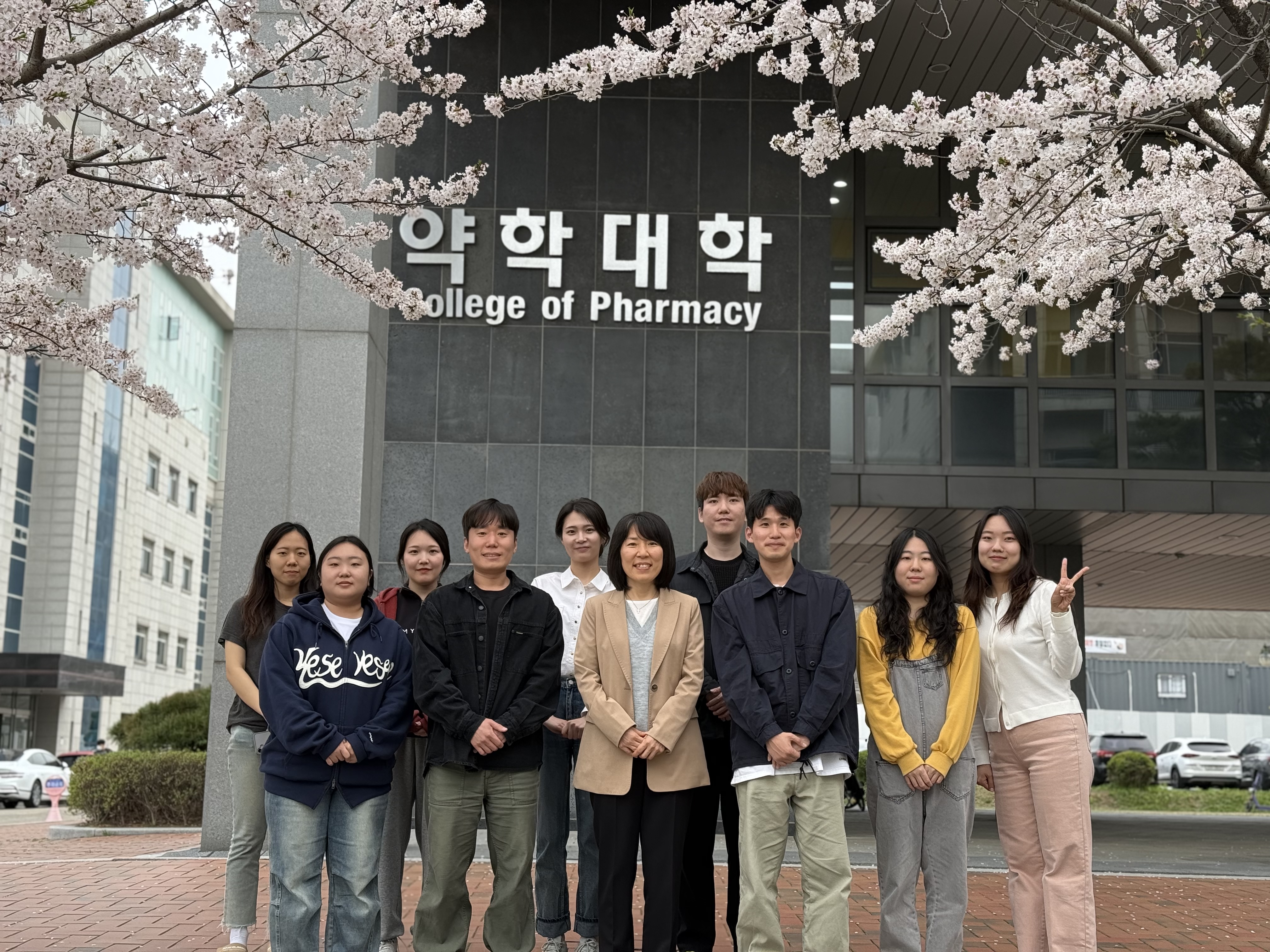벚꽃2